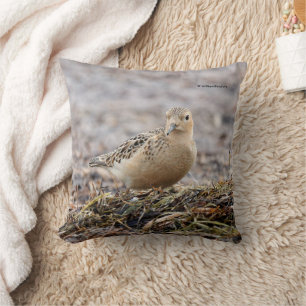 Snygg Buff-Brestat Sandpiper vid Beach Kudde