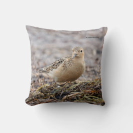 Snygg Buff-Brestat Sandpiper vid Beach Kudde