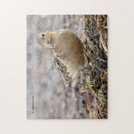 Snygg Buff-Brestat Sandpiper vid Beach Pussel