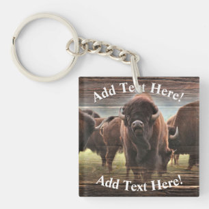 Snygg Buffalo Herd