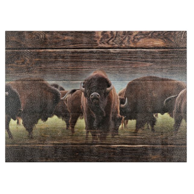 Snygg Buffalo Herd (Framsidan)