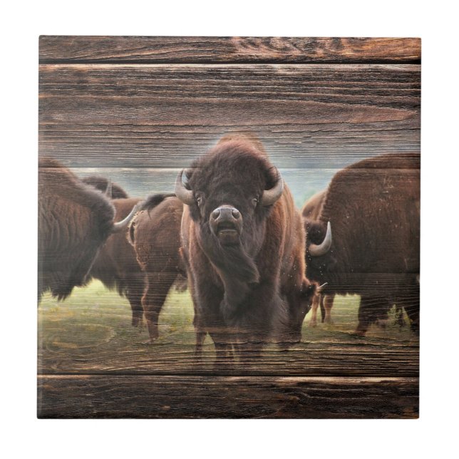 Snygg Buffalo Herd Kakelplatta (Framsidan)