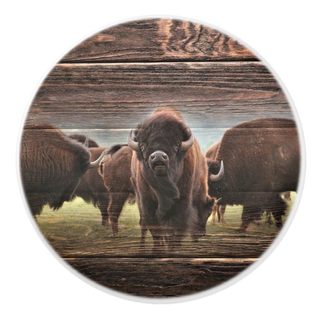 Snygg Buffalo Herd Knopp (Framsidan)