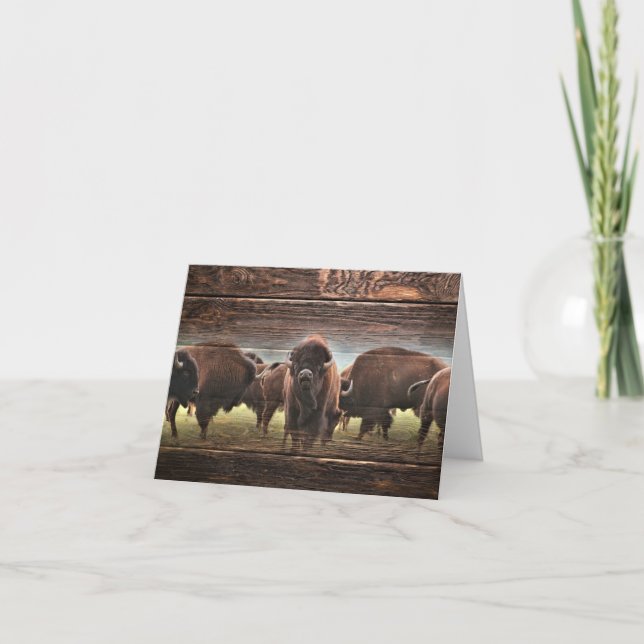 Snygg Buffalo Herd Kort (Framsida)