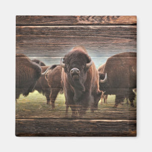 Snygg Buffalo Herd Magnet