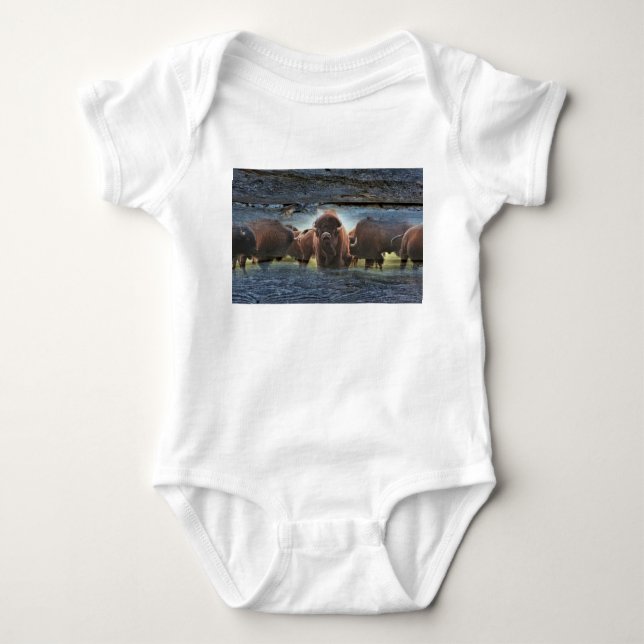Snygg Buffalo Herd T Shirt (Framsida)