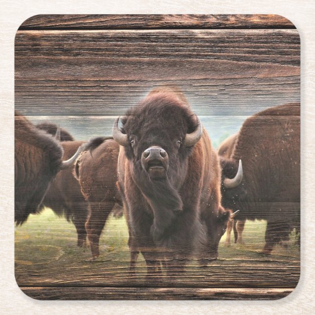 Snygg Buffalo Herd Underlägg Papper Kvadrat (Framsidan)