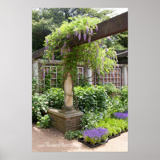 Snygg Canvas från Bild Poster (Framsidan)