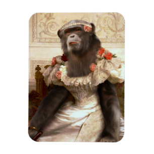 Snygg chimp i Gown Magnet