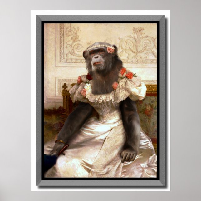 Snygg chimp i Gown Poster (Framsidan)