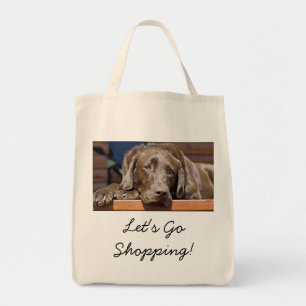 Snygg chokladbrun labrador retriever tygkasse
