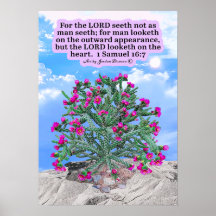 Snygg Cholla Cactus Scripture 1 Samuel 16:7