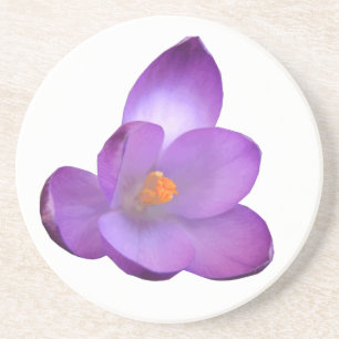 Snygg Crocus Flower Underlägg