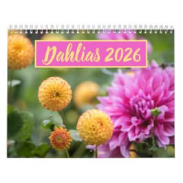 Snygg Dahlias Floral Photography Kalender