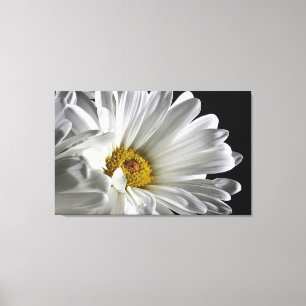 Snygg Daisy Wall Canvas