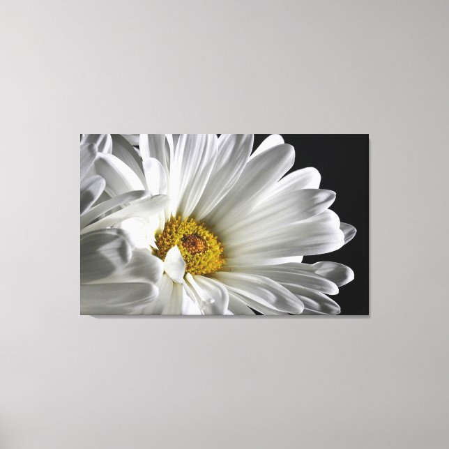 Snygg Daisy Wall Canvas (Framsida)