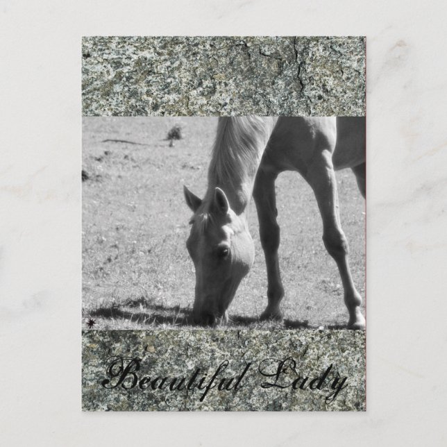 Snygg Dam Vykort (Framsida)