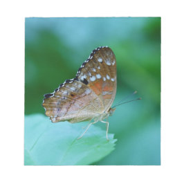 Snygg Danaus Plexippus Butterfly på Löv. Anteckningsblock