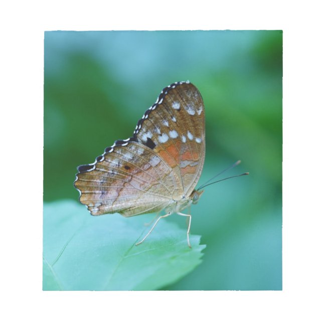 Snygg Danaus Plexippus Butterfly på Löv. Anteckningsblock (Framsida)