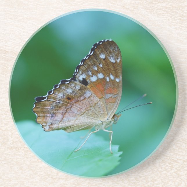 Snygg Danaus Plexippus Butterfly på Löv. Underlägg (Framsidan)
