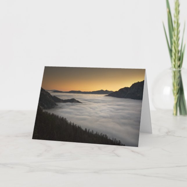 Snygg Dawn Kort (Framsida)