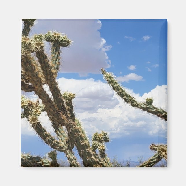 Snygg Desert Cactus Photo Magnet (Framsidan)