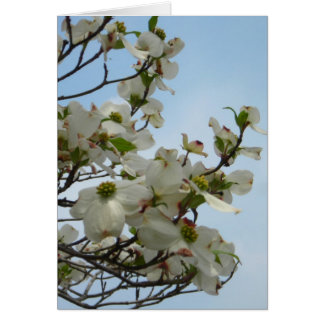 Snygg Dogwood Hälsningskort