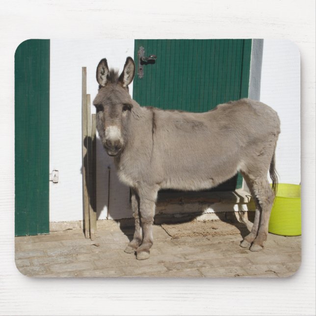 Snygg Donkey Musmatta (Framsidan)