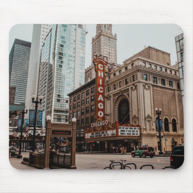 Snygg Downtown Chicago Illinois Musmatta (Framsidan)