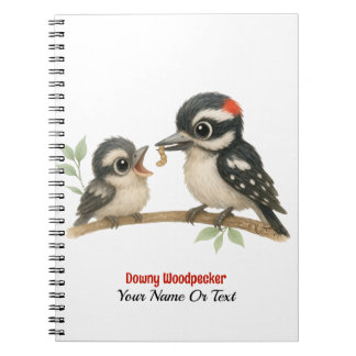 Snygg Downy Woodpecker Anteckningsbok