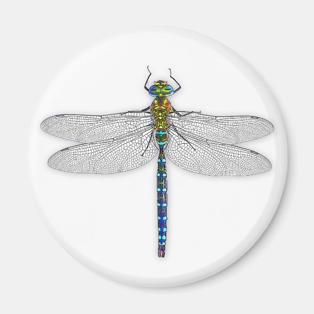 Snygg Dragonfly-magnet Magnet (Framsidan)