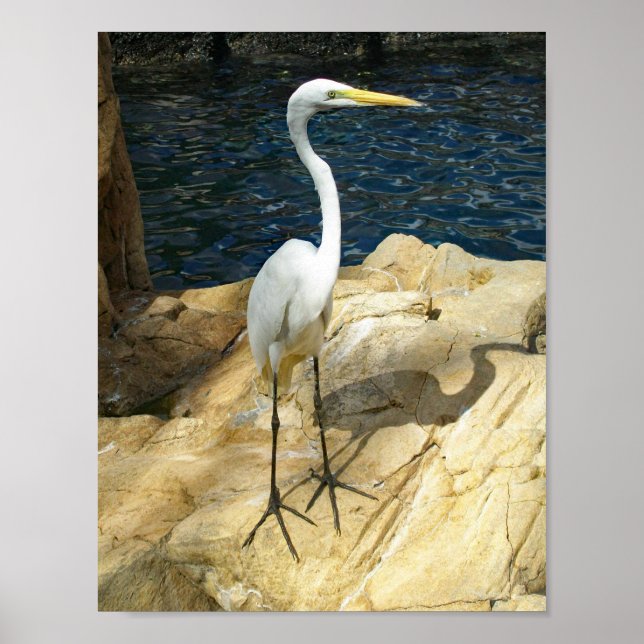 Snygg EGreat Bird Photograph Poster (Framsidan)
