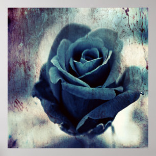 Snygg Elegant Magic Artistic Blue Ro Poster