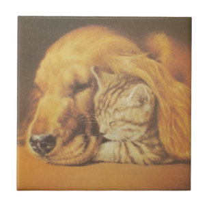 Snygg Fantastisk Katt och Hund Cuddling Art Skriv Kakelplatta