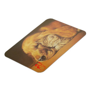 Snygg Fantastisk Katt och Hund Cuddling Art Skriv  Magnet