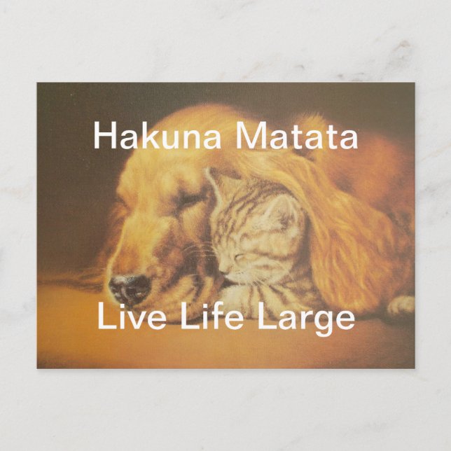 Snygg Fantastisk Katt och Hund Cuddling Art Skriv  Vykort (Framsida)