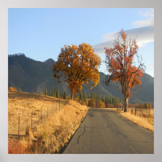 Snygg färg i Fall.. Poster (Framsidan)