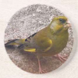 Snygg Finch Underlägg Sandsten