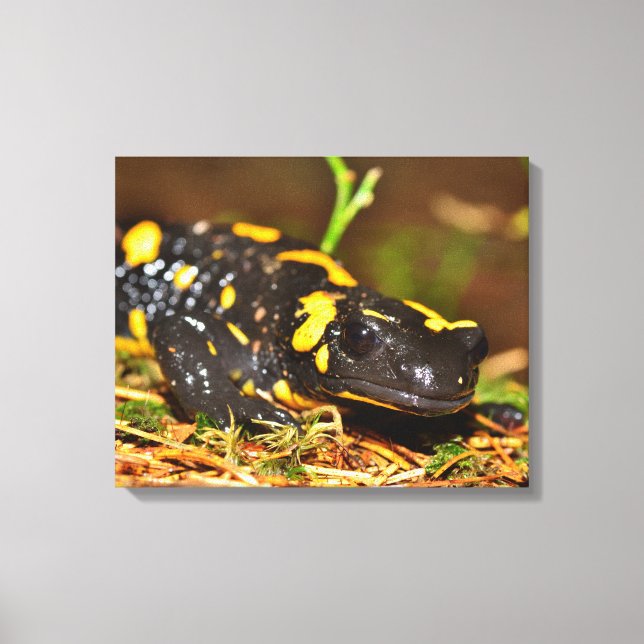 Snygg Fire Salamander Canvastryck (Framsida)