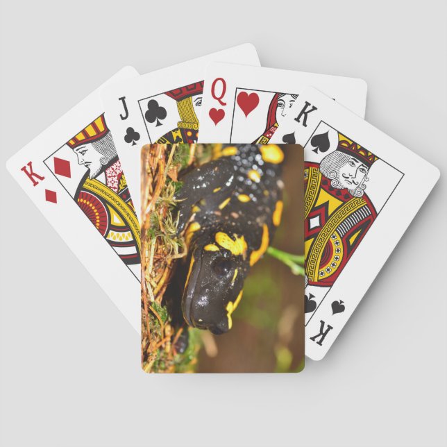 Snygg Fire Salamander Casinokort (Baksidan)
