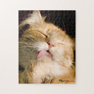 Snygg förskönande maine Coon stäng foto Pussel