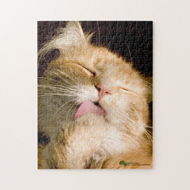 Snygg förskönande maine Coon stäng foto Pussel (Vertikal)