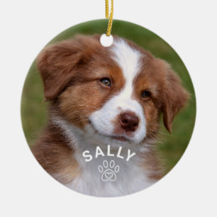 Snygg fotohund glitter tassavtryck anpassat namn f julgransprydnad keramik
