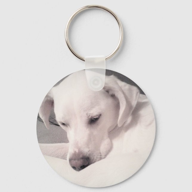 Snygg, fredlig, vit Labrador Mix Hund-nyckelkedja Nyckelring (Framsida)