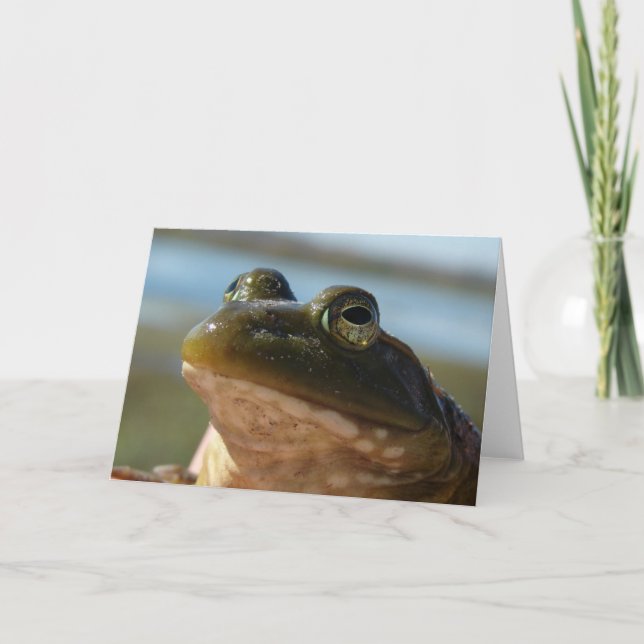 Snygg Frog Kort (Framsida)