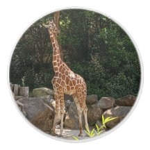 Snygg Giraffe Ceramic Dric Dric