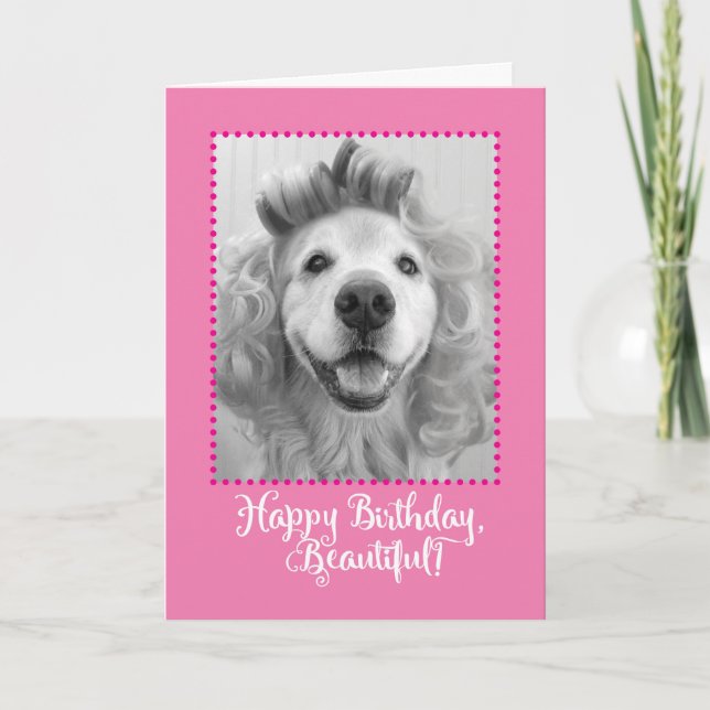 Snygg Golden Retriever med Curlers Birthday Kort (Framsida)