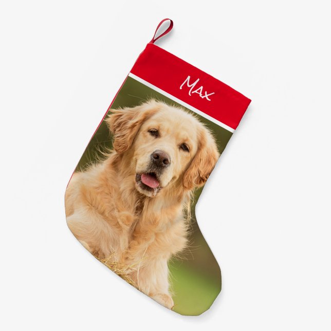 Snygg Golden Retriever Stocking Liten Julstrumpa (Framsidan (Hängande))