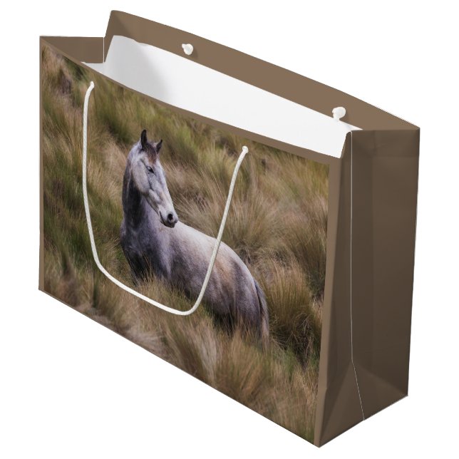 Snygg Grått Färgad Horse (Framsidan Vinklad)