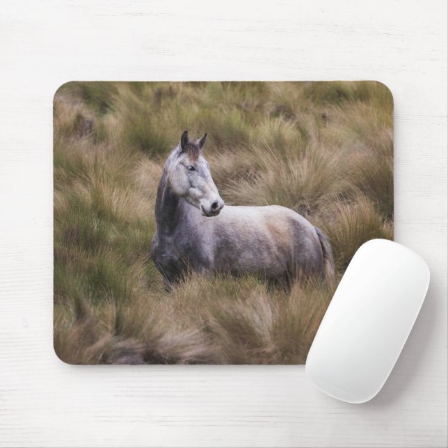 Snygg Grått Färgad Horse Musmatta (Med mus)